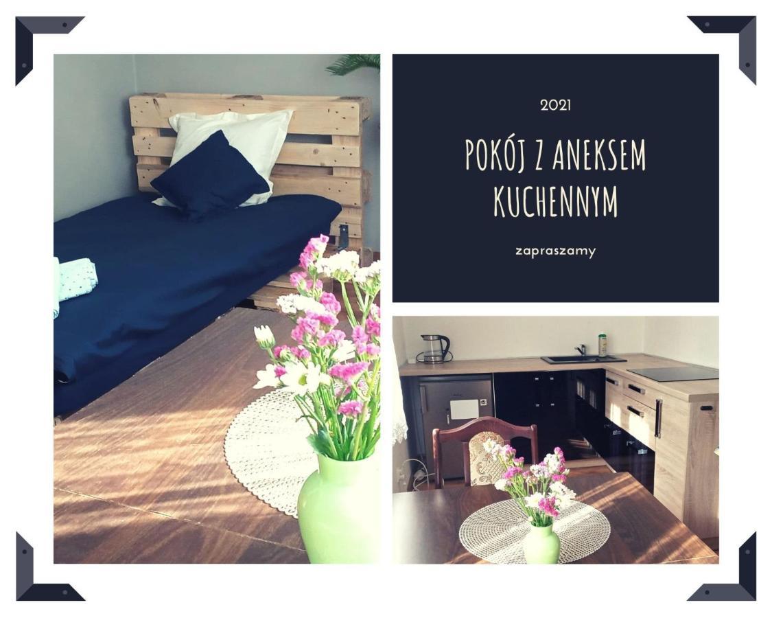 Ferienwohnung Apartament Delux Z Tarasem Sierpc Exterior foto